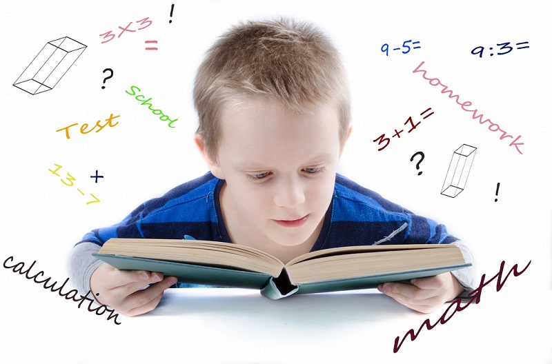 Scholastic Aptitude Tests (SATS). Boy learning